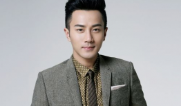 刘恺威演的电视剧全部,从经典剧集到情感纠葛，全面回顾